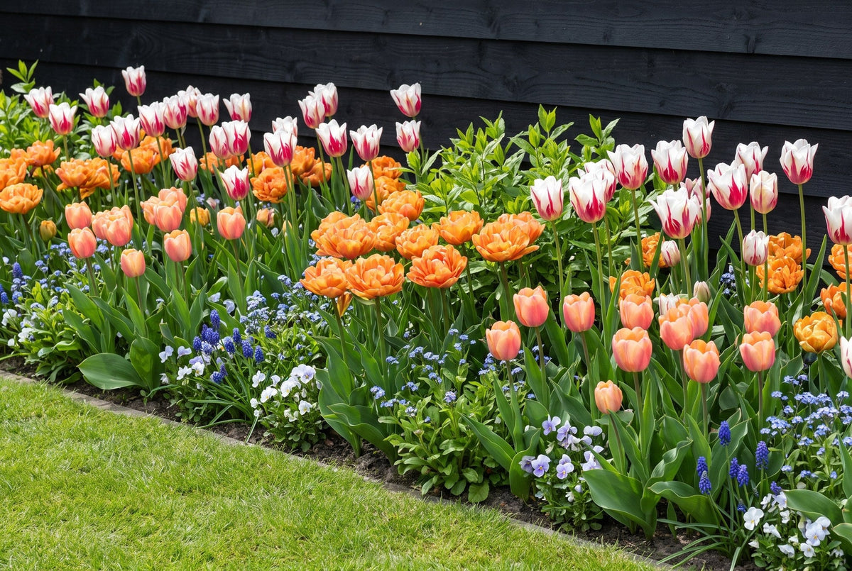 Tuincollecties