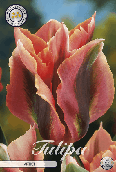 Tulpenkunstenaar
