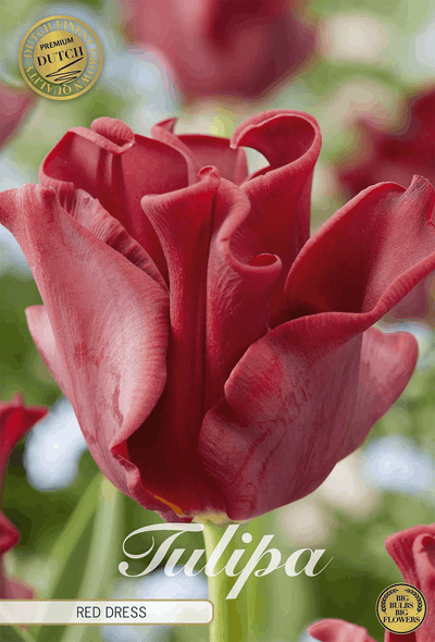 Tulpenjurk in rood