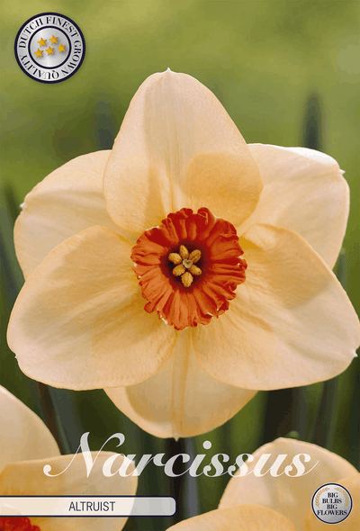 Narcissus Altruïst