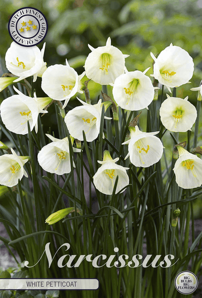 Narcissus witte onderrok