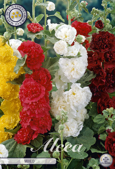 Alcea gemengd