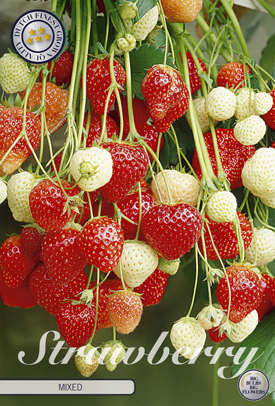 Aardbeienmix