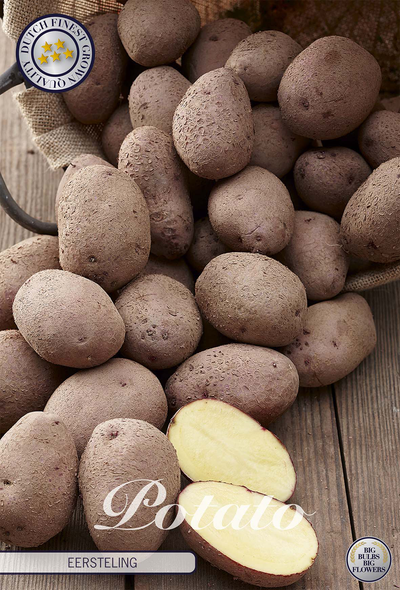 Aardappel eersteling