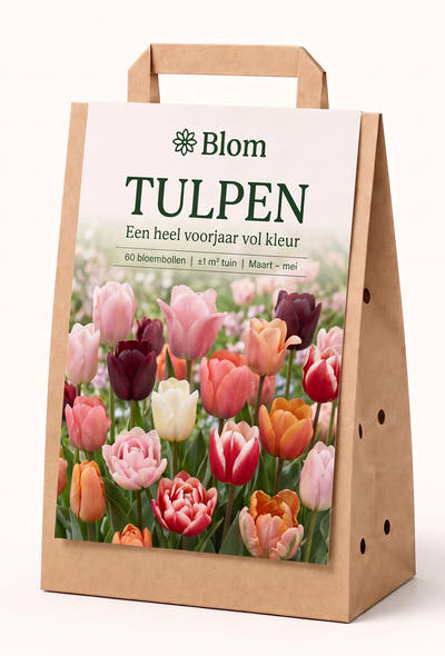 Bloementuin Tulp