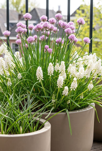 Bijvriendelijke tuin — Balkon voor Bijen