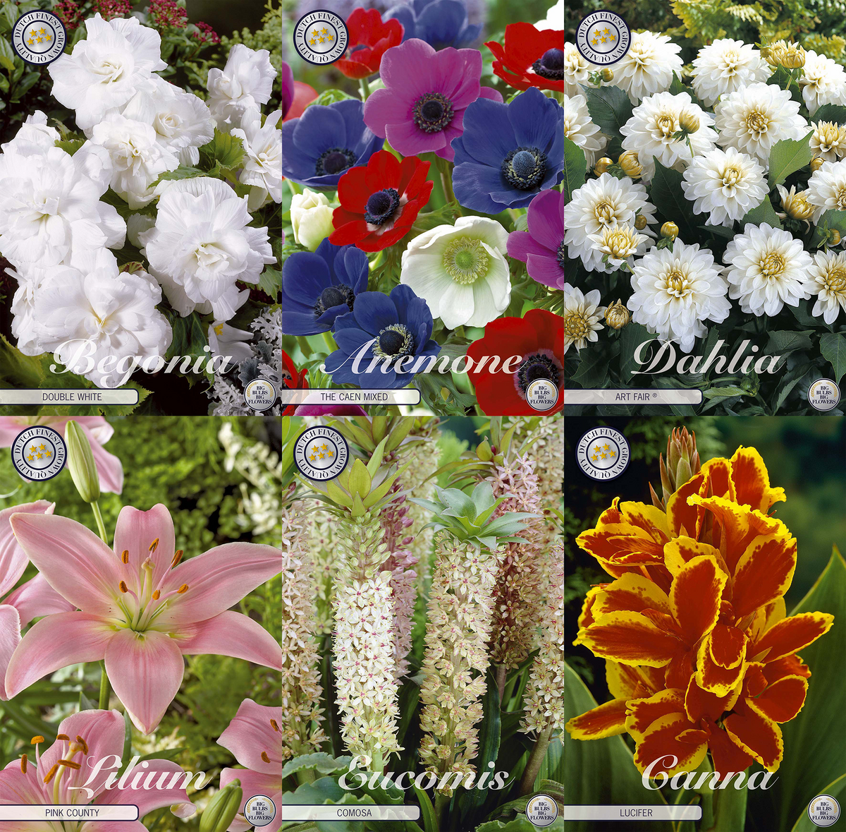 Mix Pot Collectie