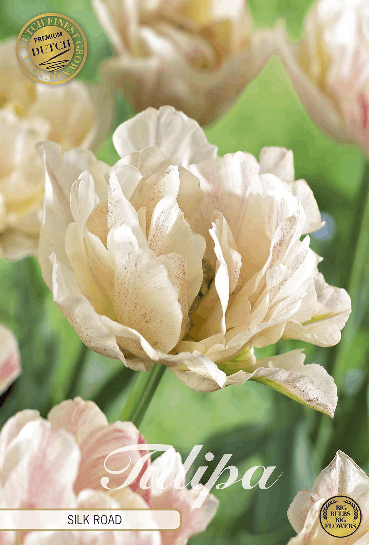 Tulp Silk Road