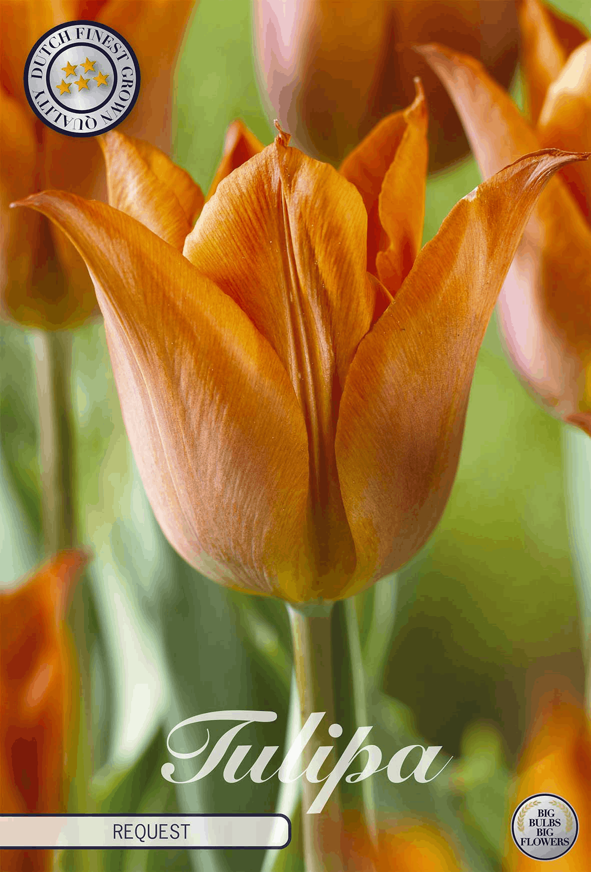 Tulipa Aanvraag