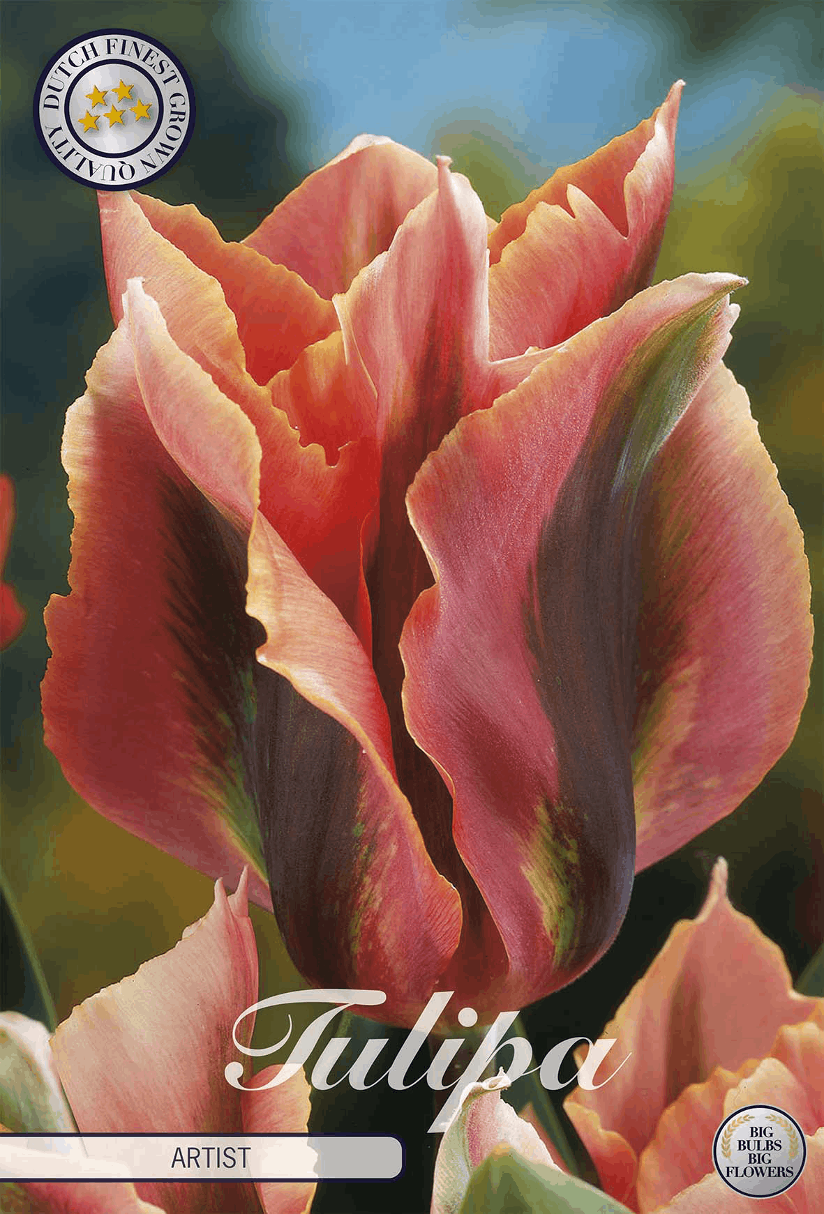 Tulpenkunstenaar
