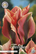 Tulpenkunstenaar