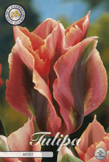 Tulpenkunstenaar