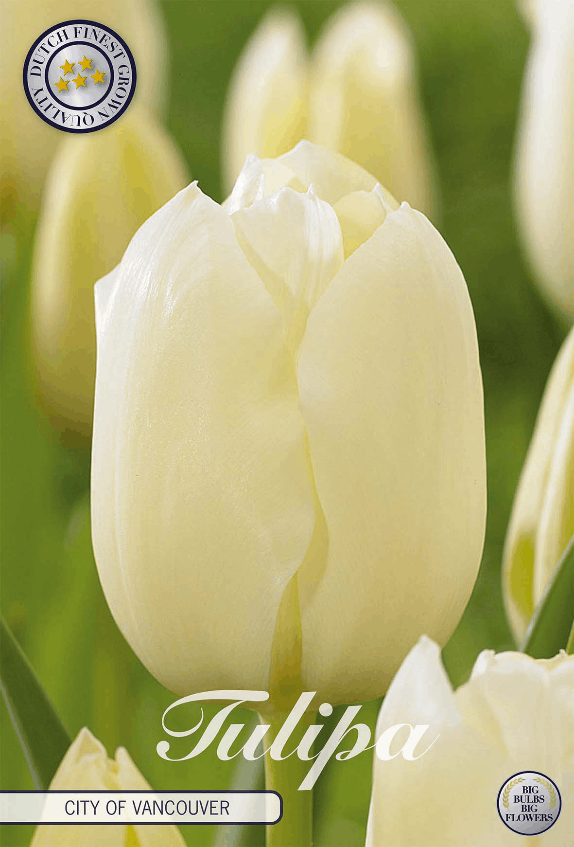 Tulpenstad Vancouver