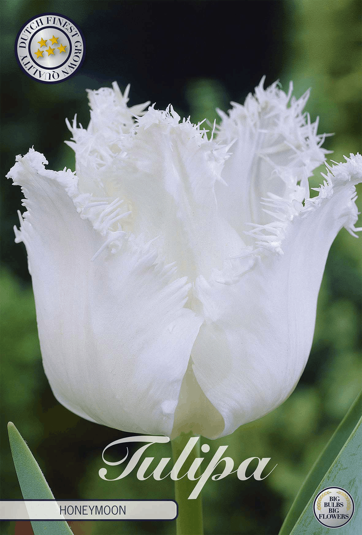 Tulpenhuwelijksreis