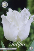 Tulpenhuwelijksreis