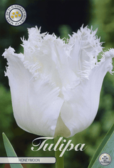 Tulpenhuwelijksreis