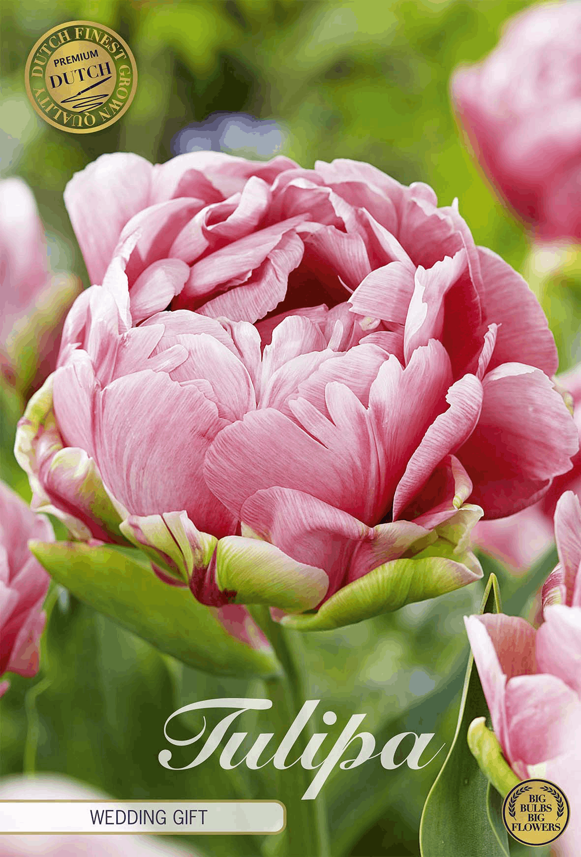 Tulpen huwelijksgeschenk