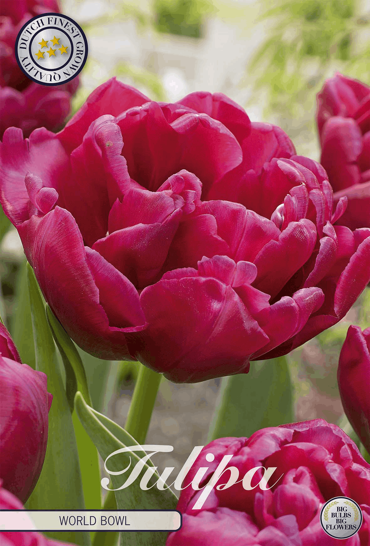 Tulpen Wereld Bowl