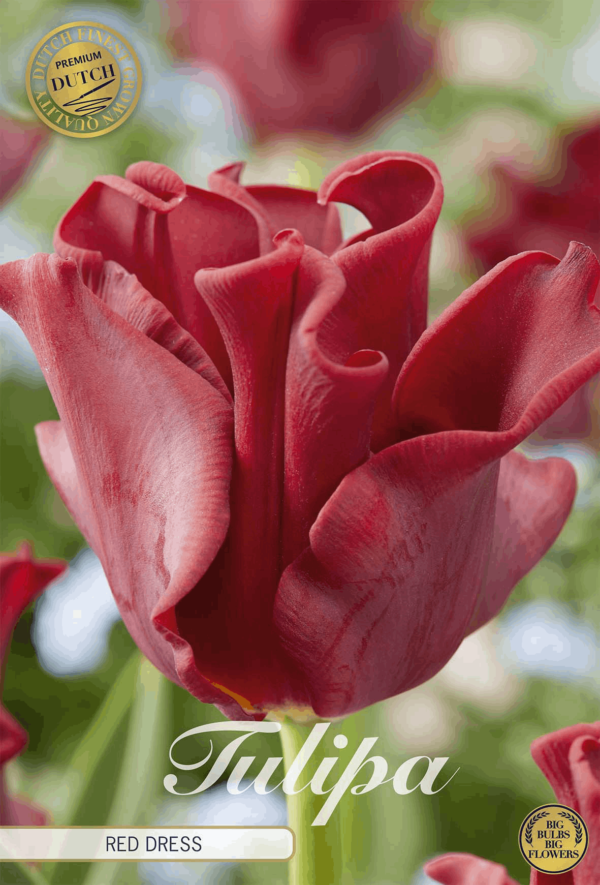 Tulpenjurk in rood