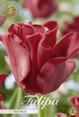 Tulpenjurk in rood