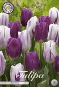 Tulp Atlantische Oceaan