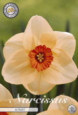 Narcissus Altruïst