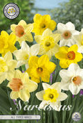 Narcissus alle soorten gemengd