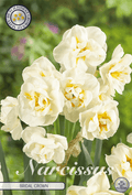 Narcissus Bruidskroon