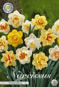 Narcissus Dubbel Gemengd