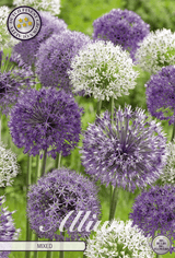 Allium gemengd