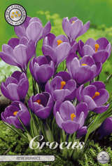 Crocus Herinnering