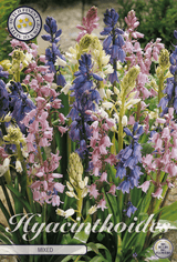 Hyacinthoides gemengd