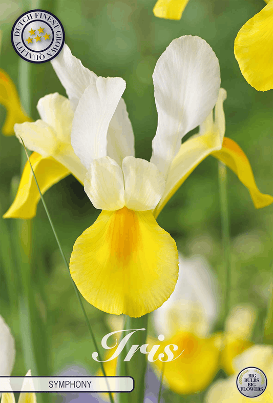 Iris Symfonie