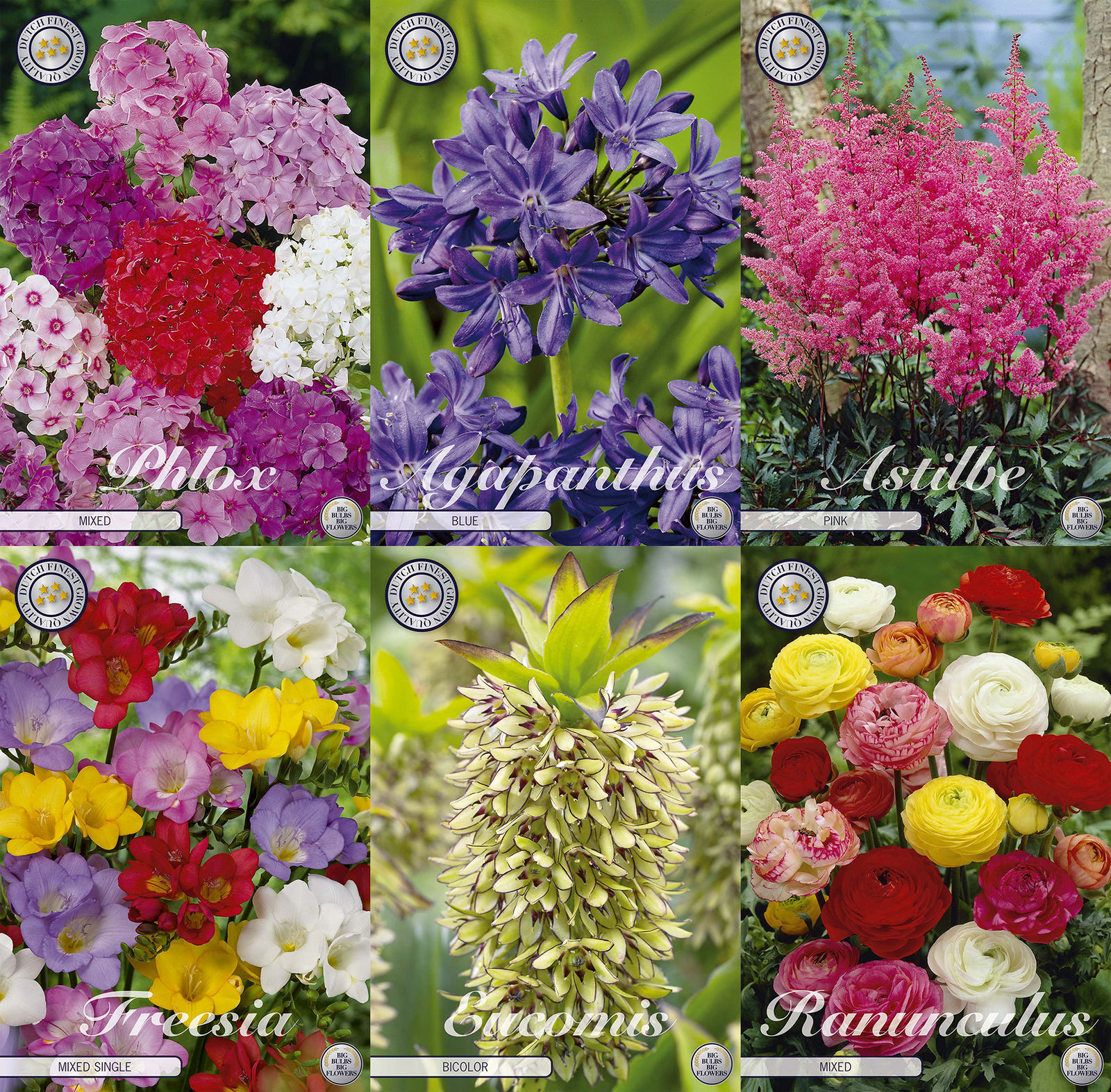 Favoriete tuinboeketten
