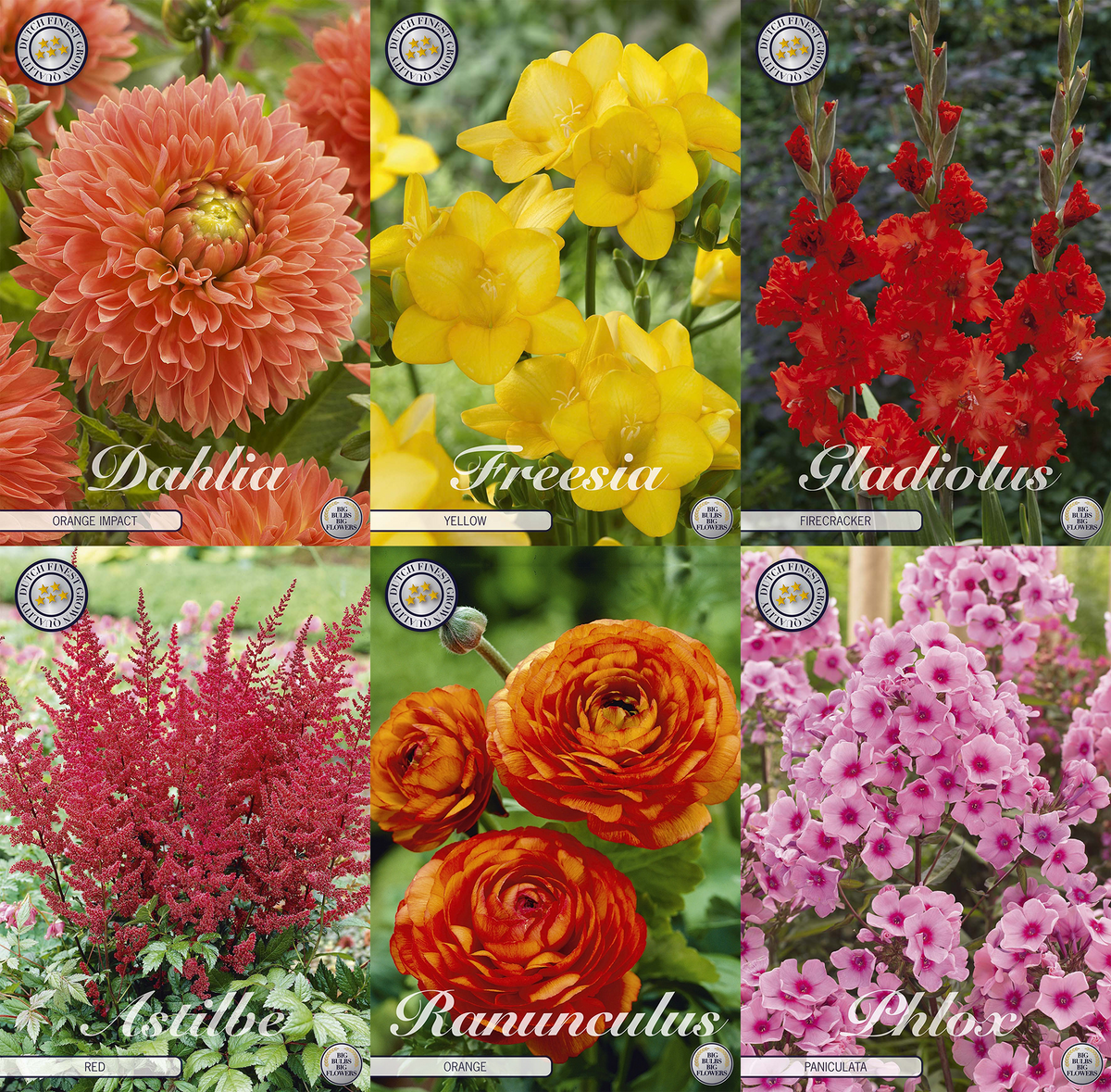 Boeket van het Gouden Uur