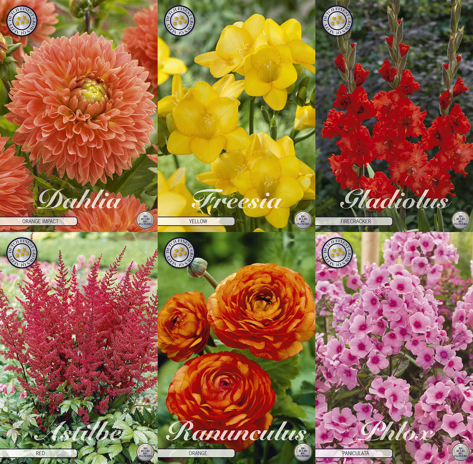 Boeket van het Gouden Uur