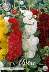 Alcea gemengd
