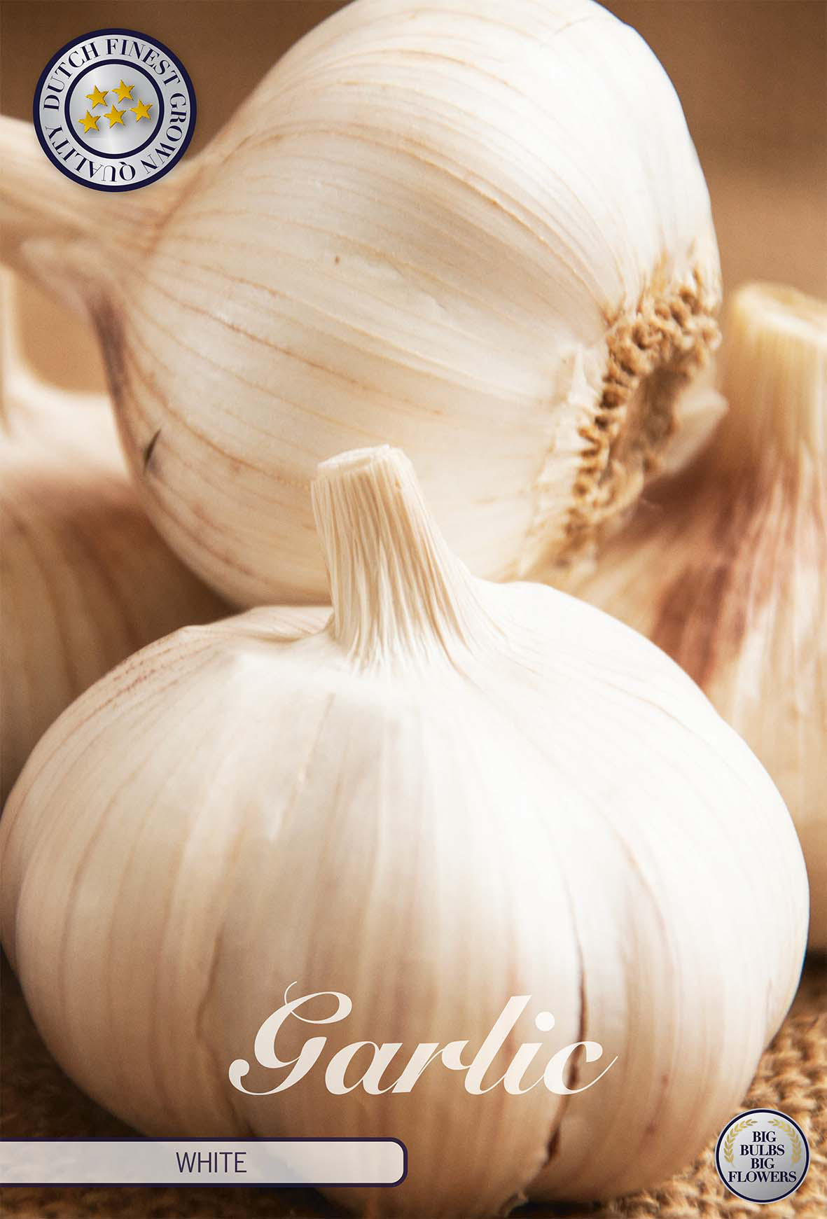 Knoflook wit