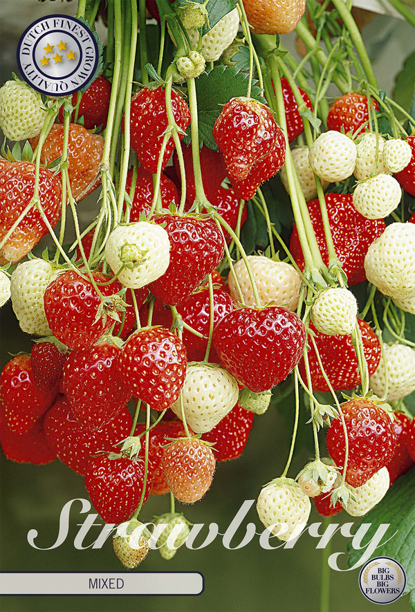 Aardbeienmix
