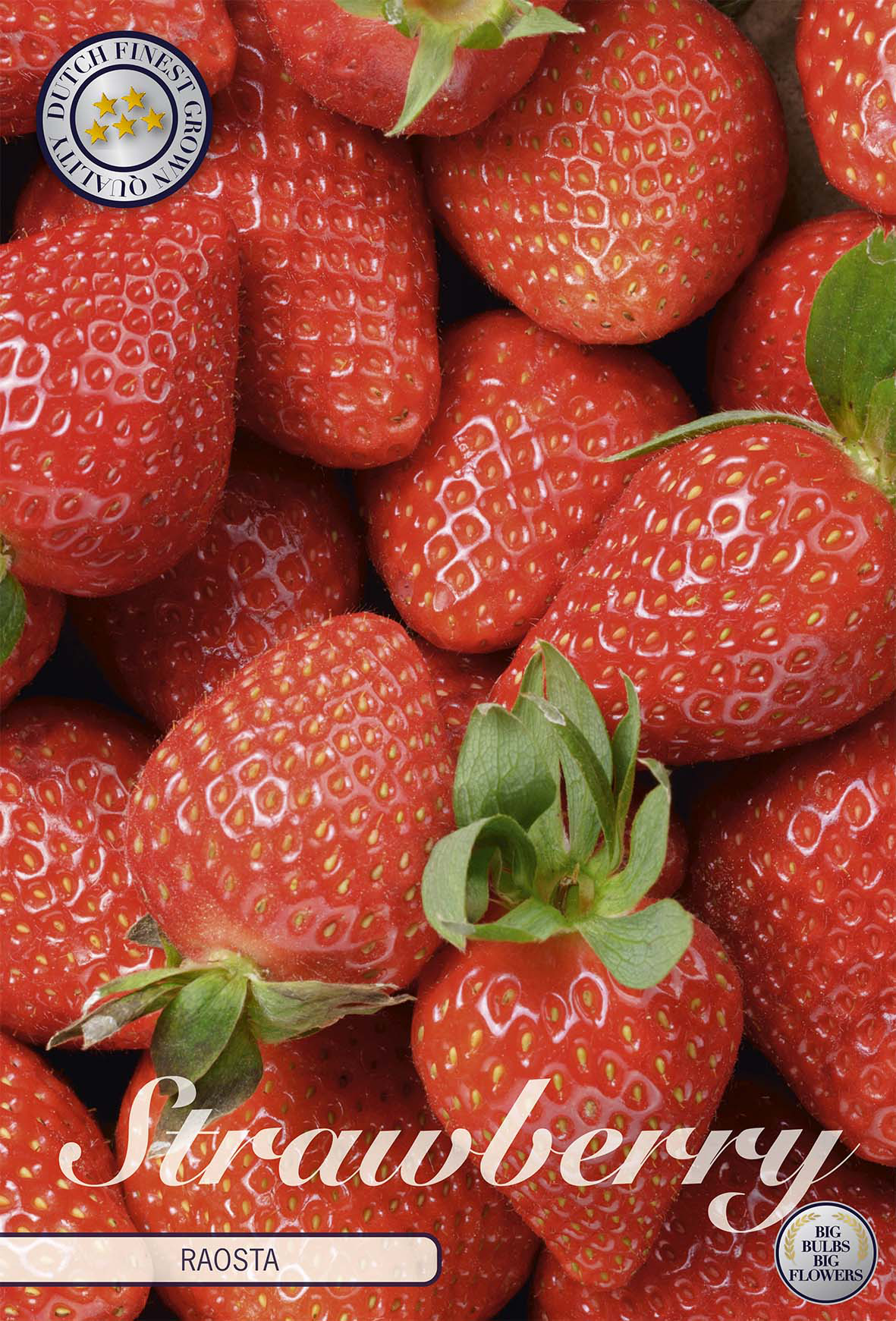 Aardbeien Raosta