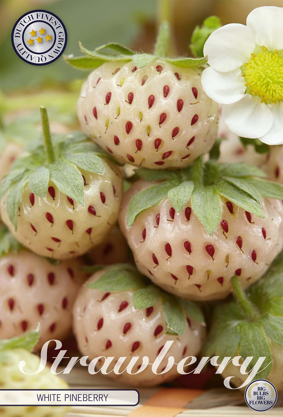 Aardbei Witte Ananas
