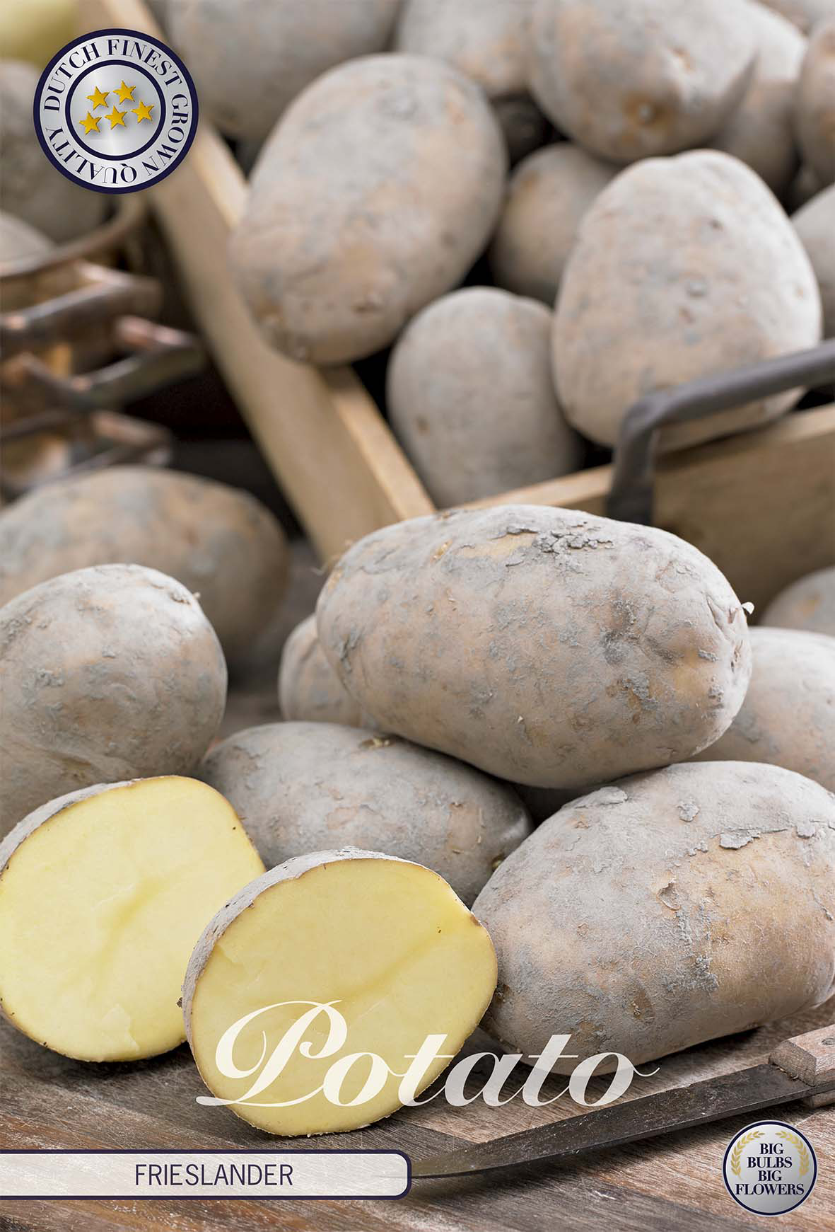 Aardappel Frieslander
