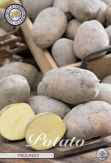 Aardappel Friese
