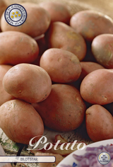 Aardappel Bildtstar