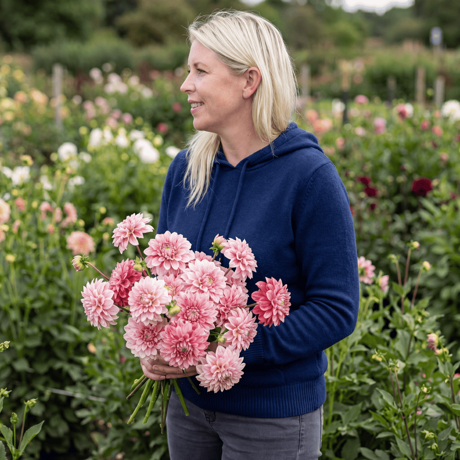 Dahlia Strawberry Cream