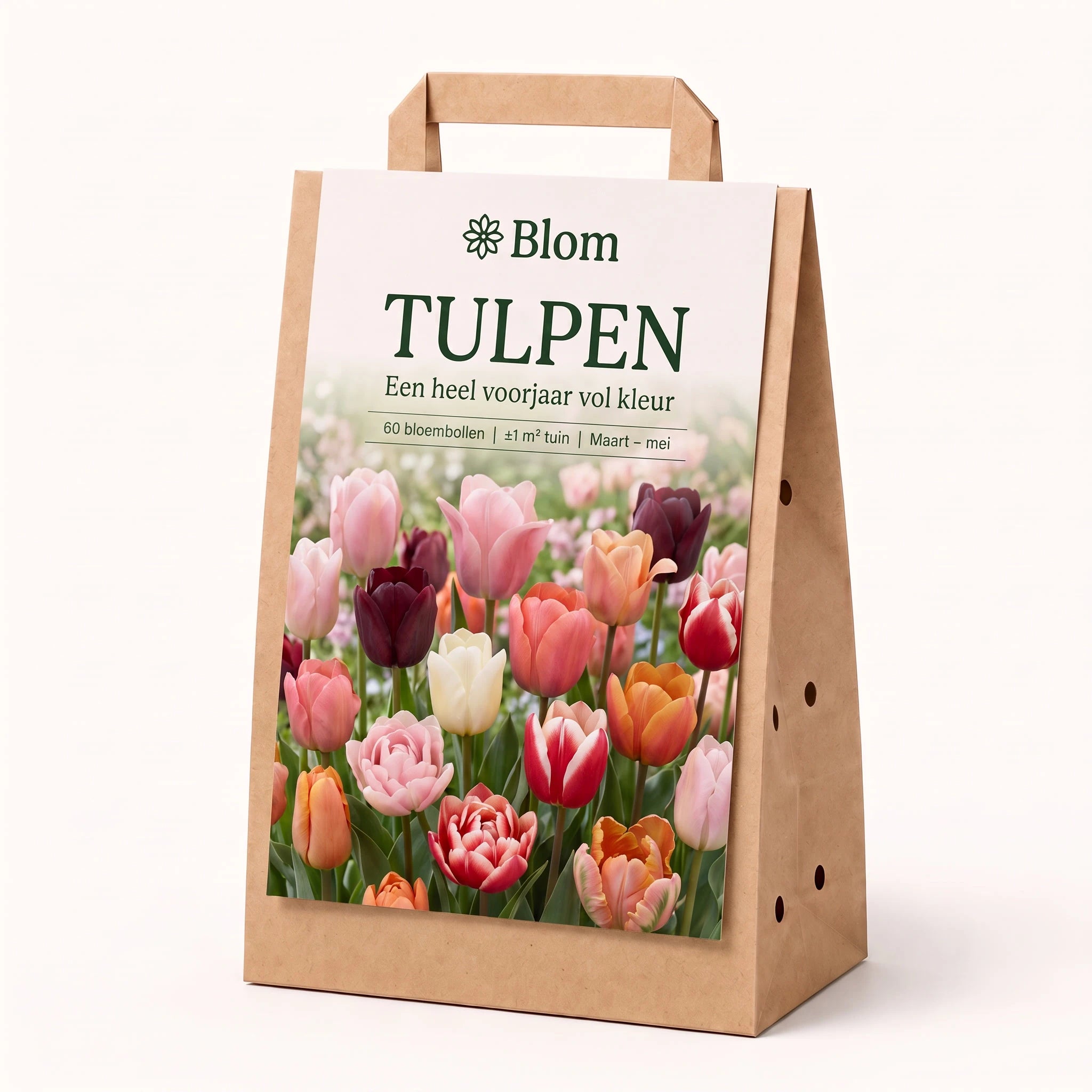 Bloementuin Tulp