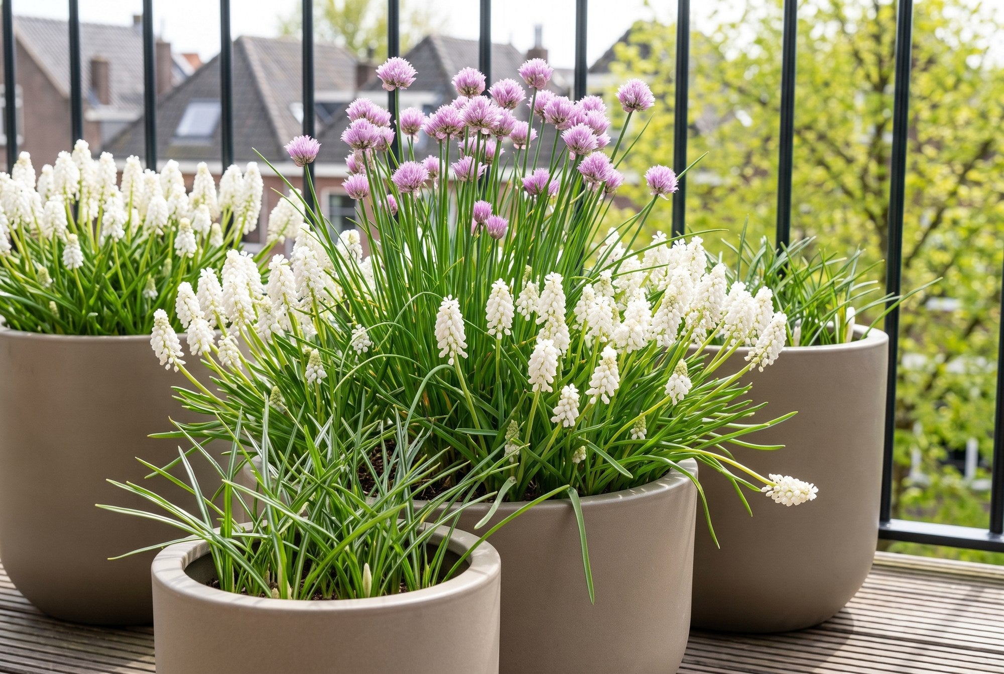 Bijvriendelijke tuin — Balkon voor Bijen