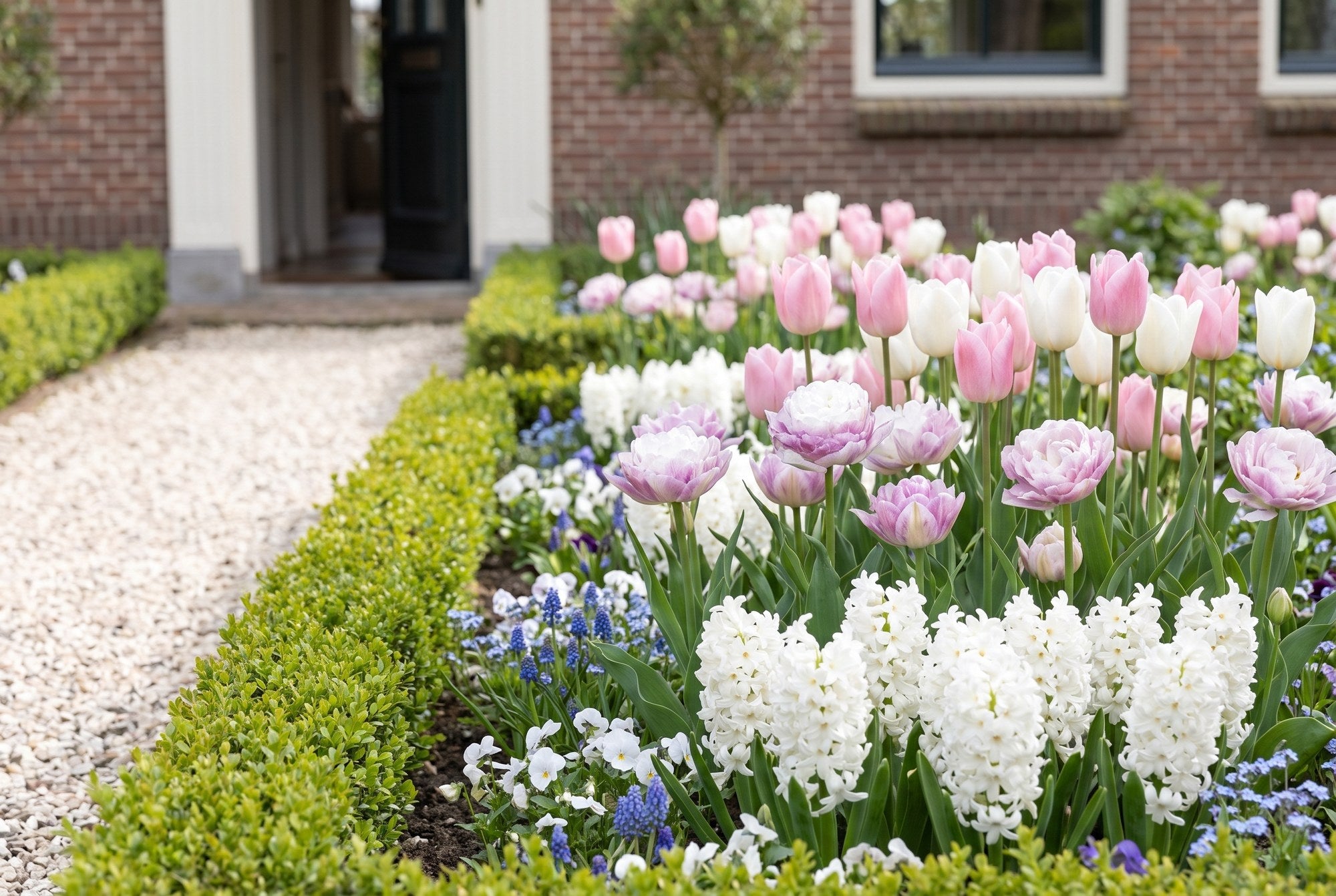 Romantische tuin — Zachte Romance