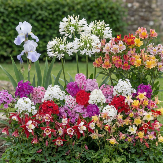Balkonpakket voor bestuivers