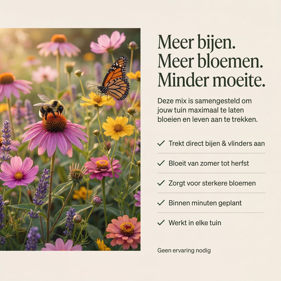 Bijenhotel met Liatrisbollen